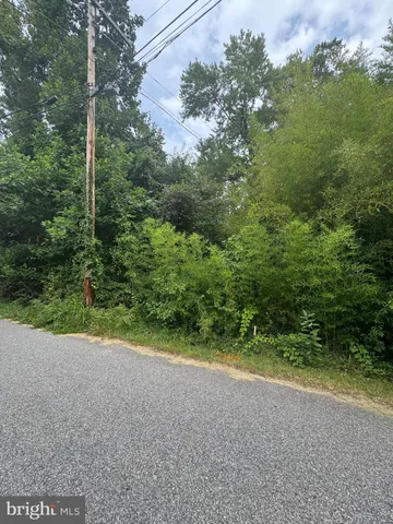 a view of a backyard of a house