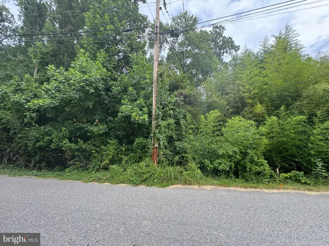 a view of a yard with a plants and trees