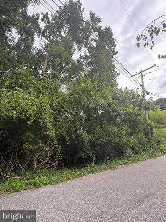 a view of a road with a trees