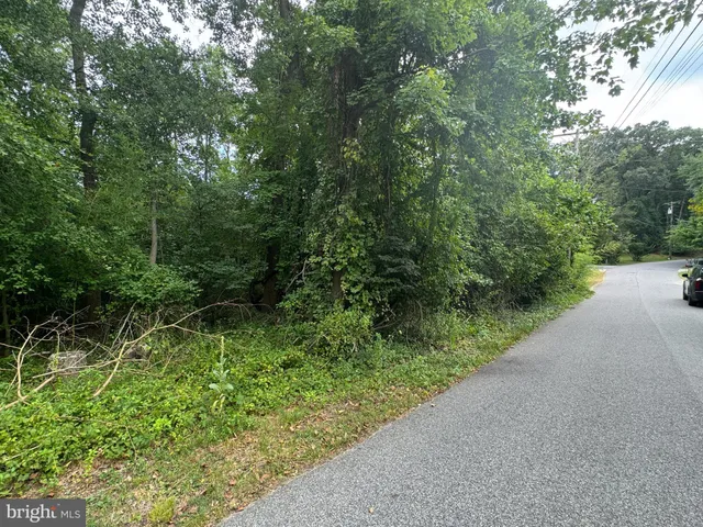 a view of a garden with plants