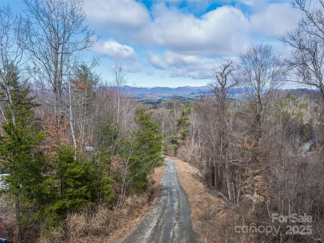a view of a yard and mountain view