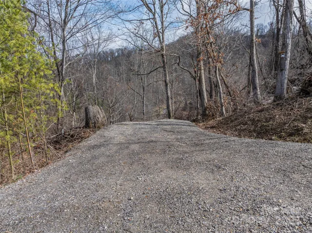 a view of outdoor space with trees