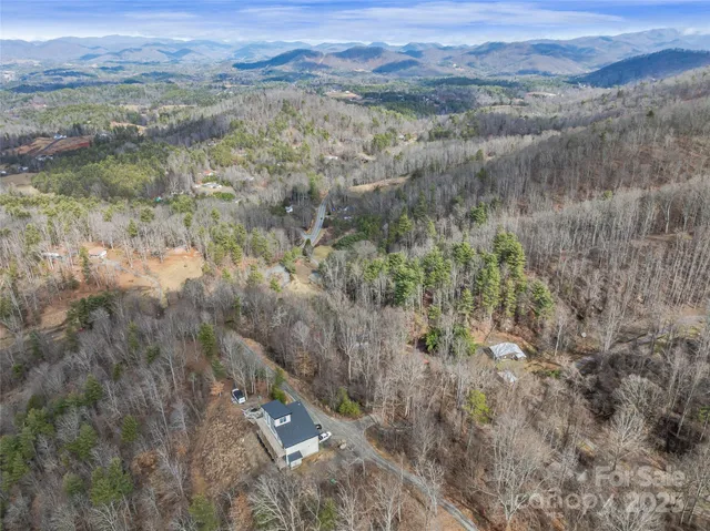 a view of a lush green forest with lush green forest