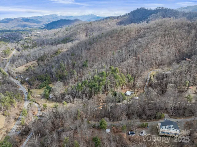 a view of a forest with mountains in the background