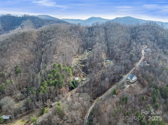 a view of a forest with mountains in the background