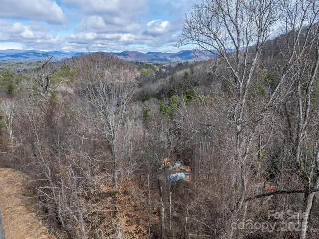 a view of a city with lush green forest