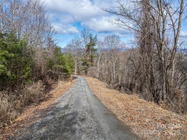a view of a pathway with a yard