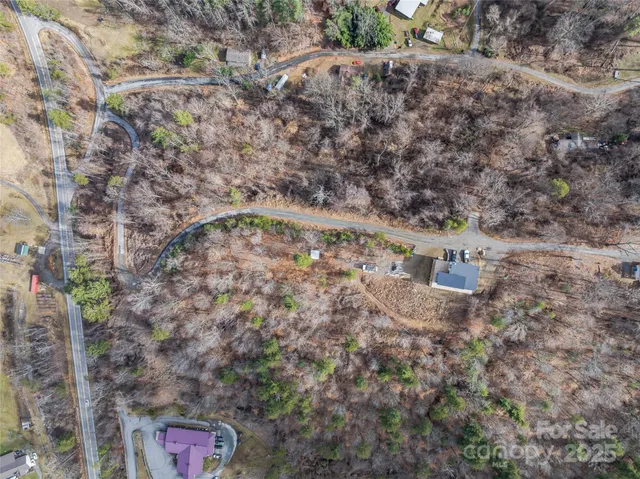 a view of a dry yard