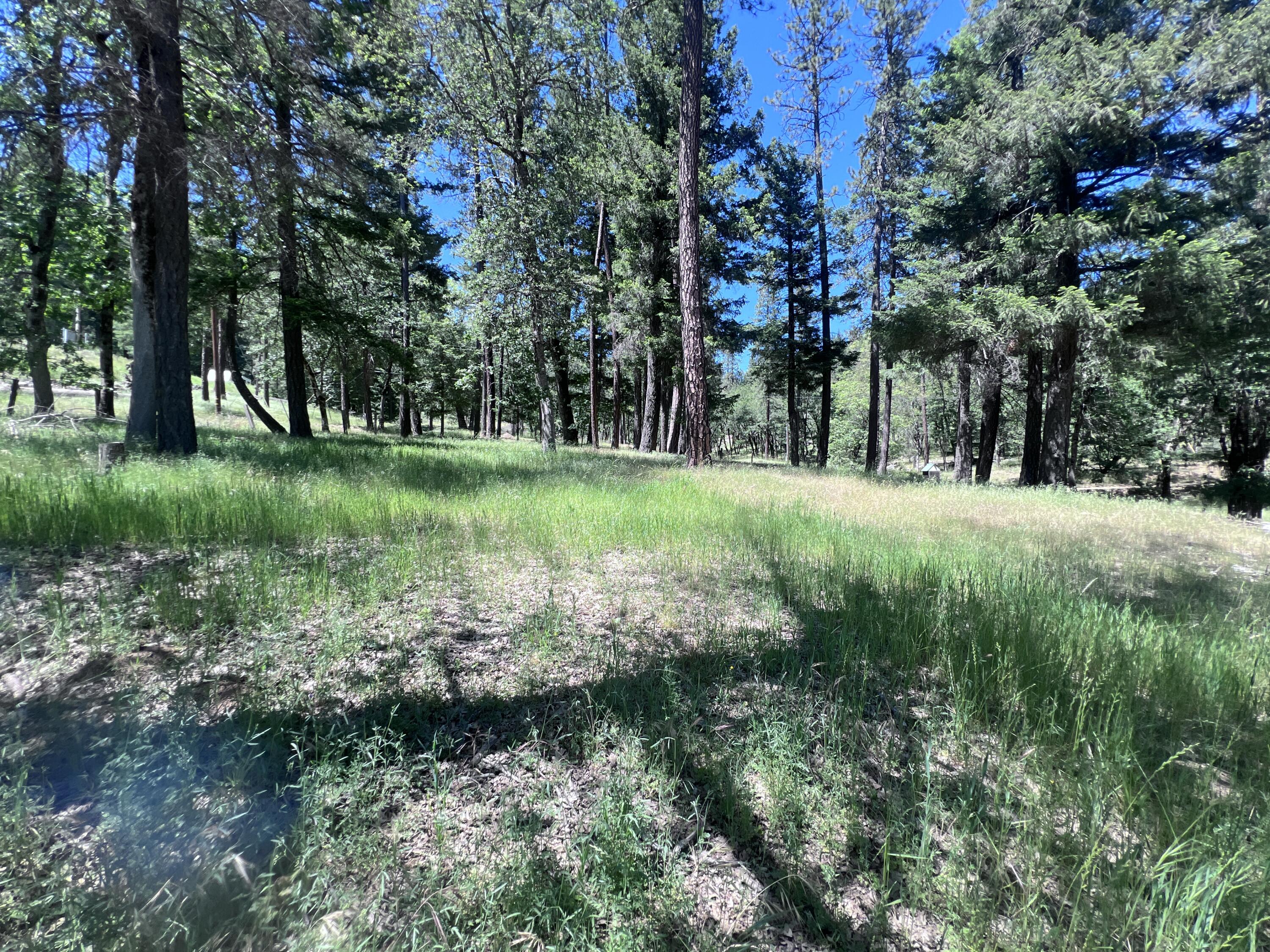 1411 Mc Alexander Road Hayfork, CA 96041 - Photo 16 of 38 Looking across to corner