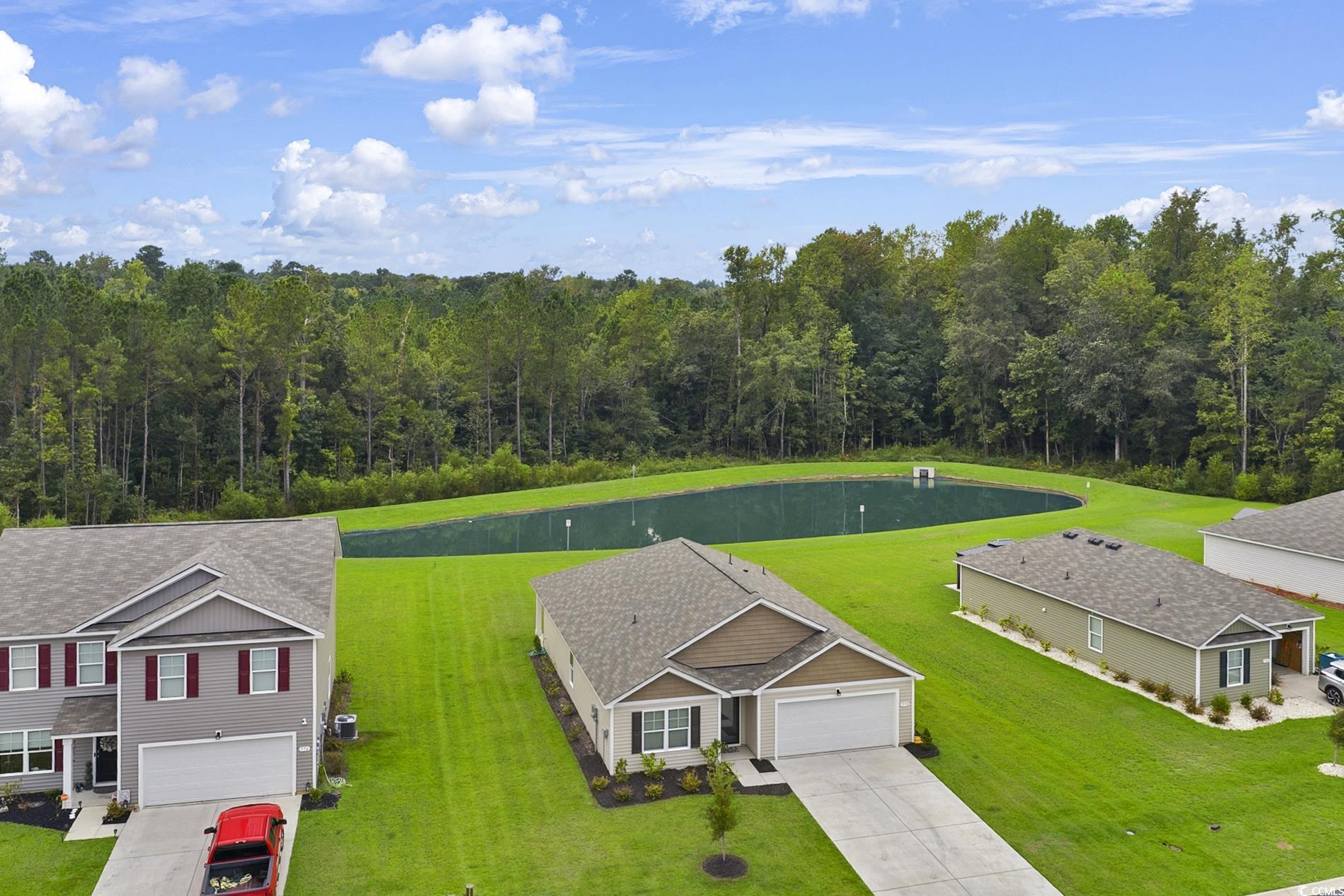 772 Planters Moon Drive Galivants Ferry, SC 29544 - Photo 4 of 39
