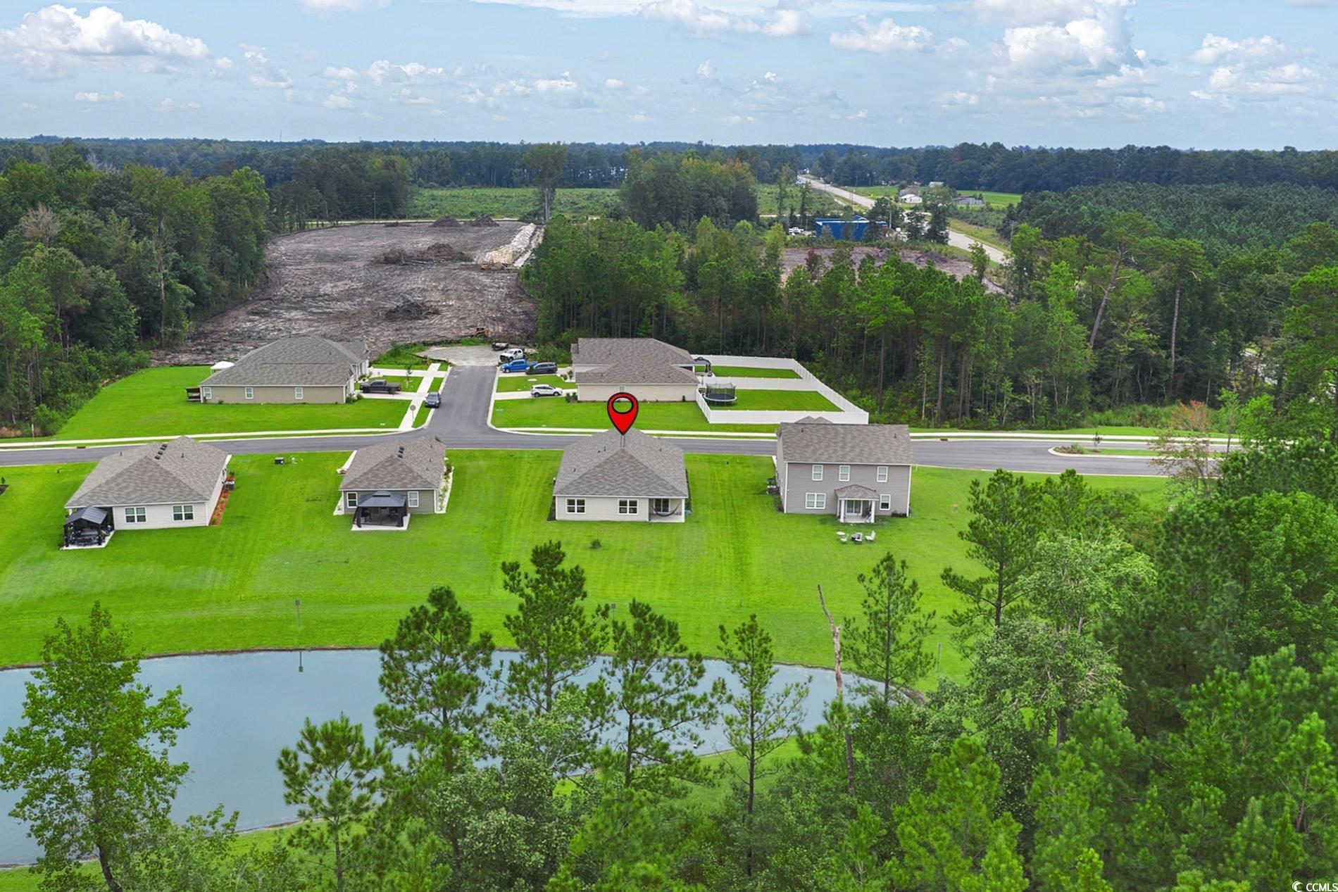 772 Planters Moon Drive Galivants Ferry, SC 29544 - Photo 8 of 39