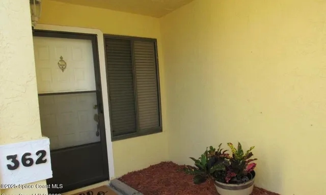 a potted plant sitting on a wall