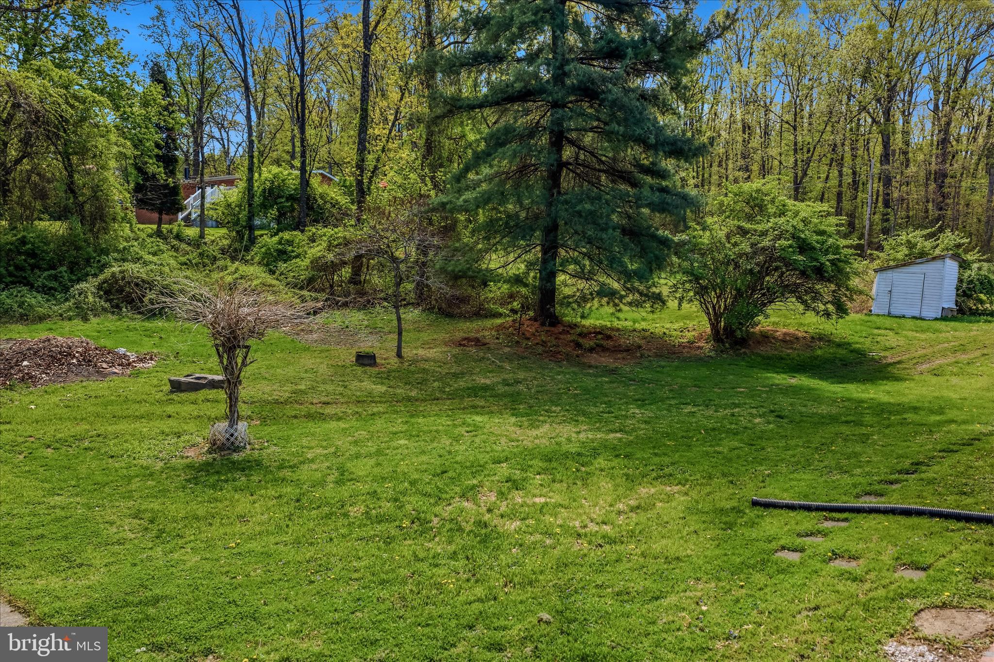 930 Chestnut Hill Road Harpers Ferry, WV 25425 - Photo 6 of 12 Backyard