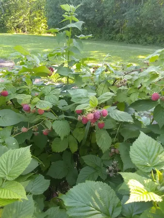 $485,000 | 64280 300th Street, Warroad, MN 56763