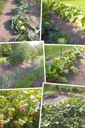 $485,000 | 64280 300th Street, Warroad, MN 56763