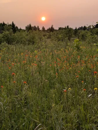 $485,000 | 64280 300th Street, Warroad, MN 56763