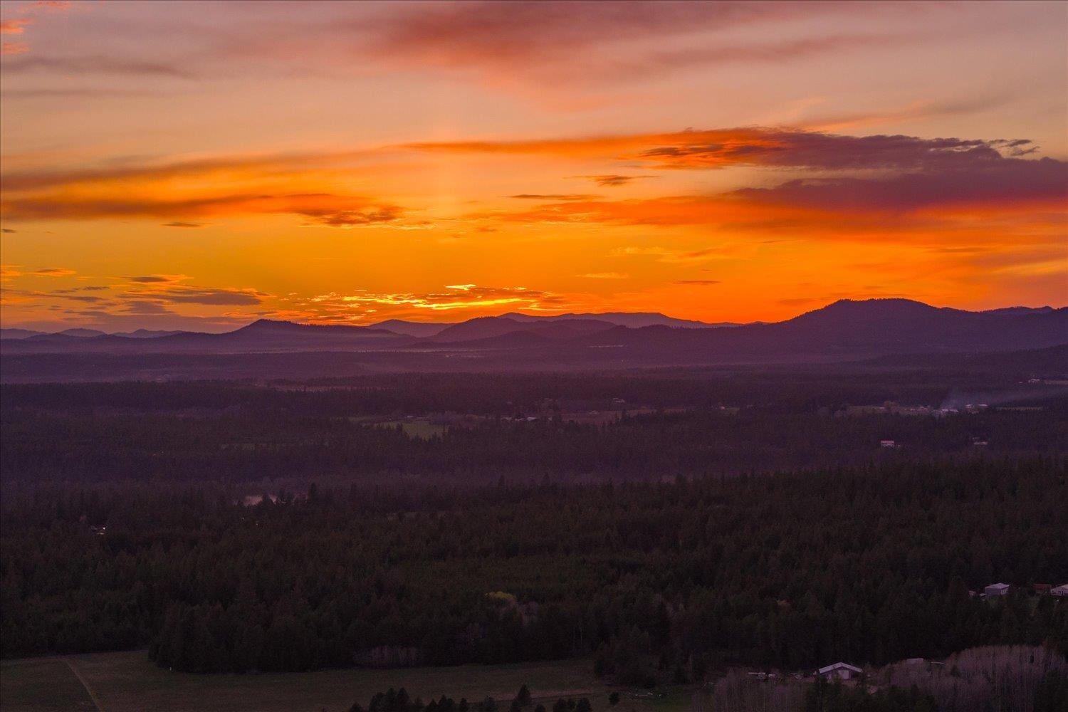 11918 East Nelson Road Elk, WA 99009 - Photo 44 of 49