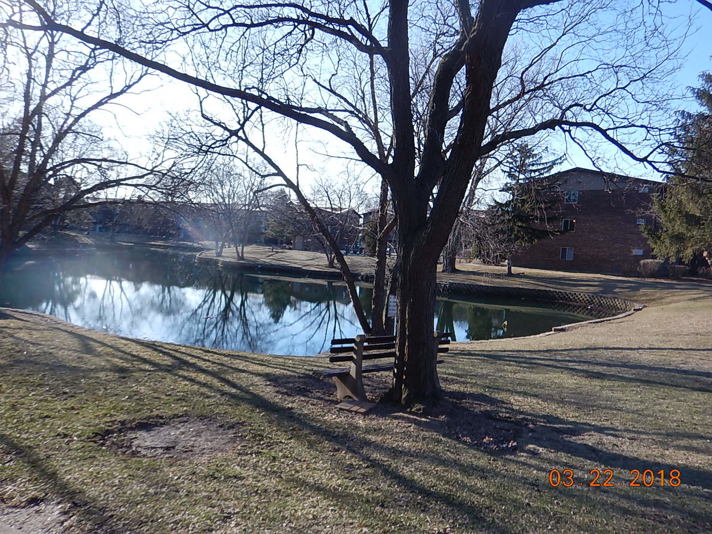 2525 Spring Street, Unit 2801 Woodridge, IL 60517 - Photo 3 of 11