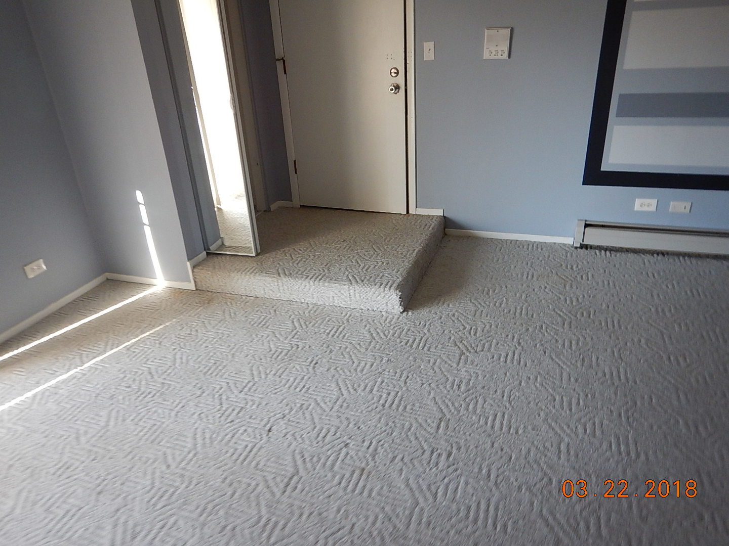2525 Spring Street, Unit 2801 Woodridge, IL 60517 - Photo 6 of 11