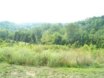 1209 Log Lick Road Winchester, KY 40391 - Photo 18 of 20 Photo 18