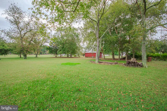 a view of outdoor space with deck and yard