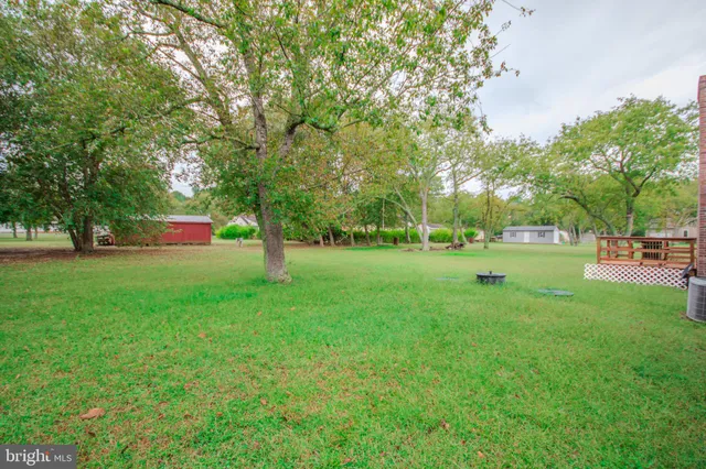 a view of green field
