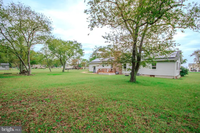 a view of green field