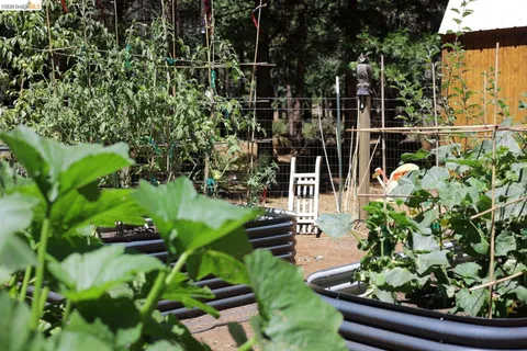 a view of outdoor space with swings and slides