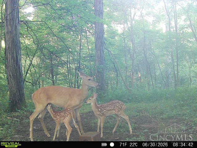 4051 State Rte 41 Manchester, OH 45144 - Photo 33 of 40 Gallery Image 33