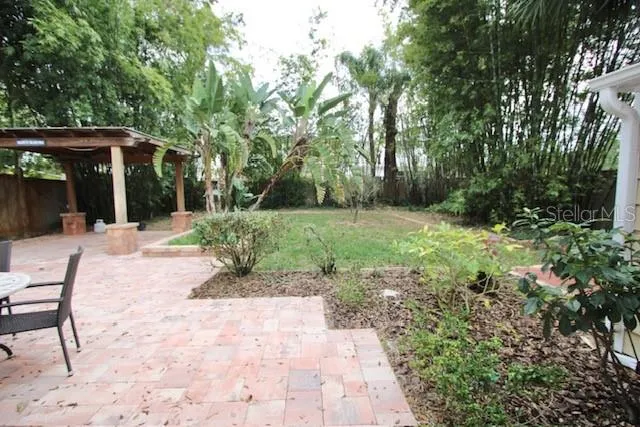 a view of backyard with table and chairs and potted plants and large trees