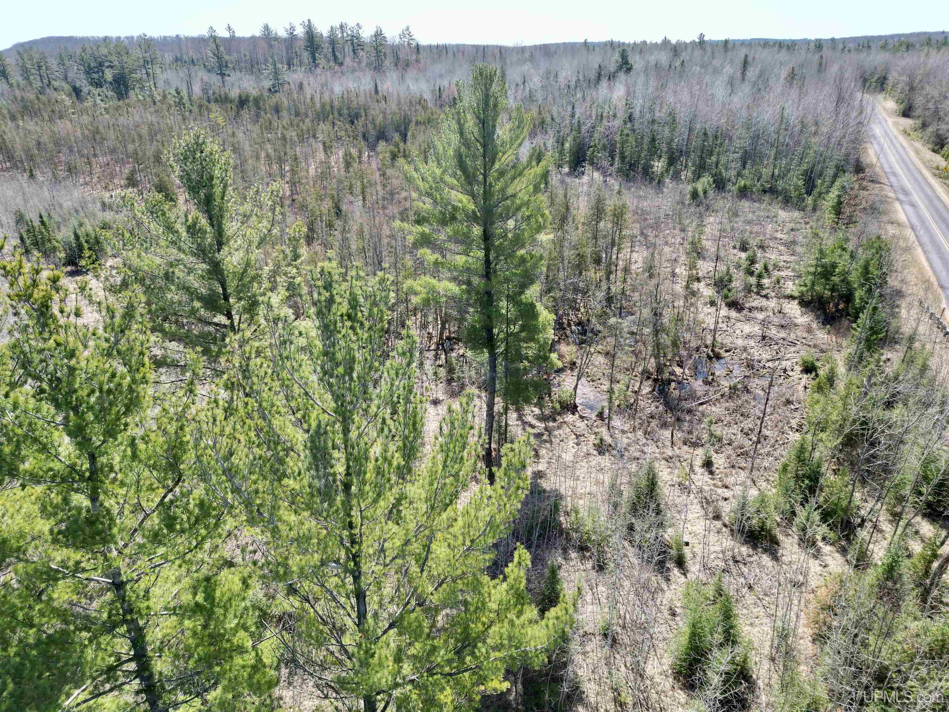 577 Rd Vulcan Mi 49892 Road Vulcan, MI 49892 - Photo 9 of 17