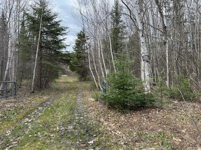 0 West Tee Lake Road Germfask, MI 49836 - Photo 27 of 29 Gallery Image 27