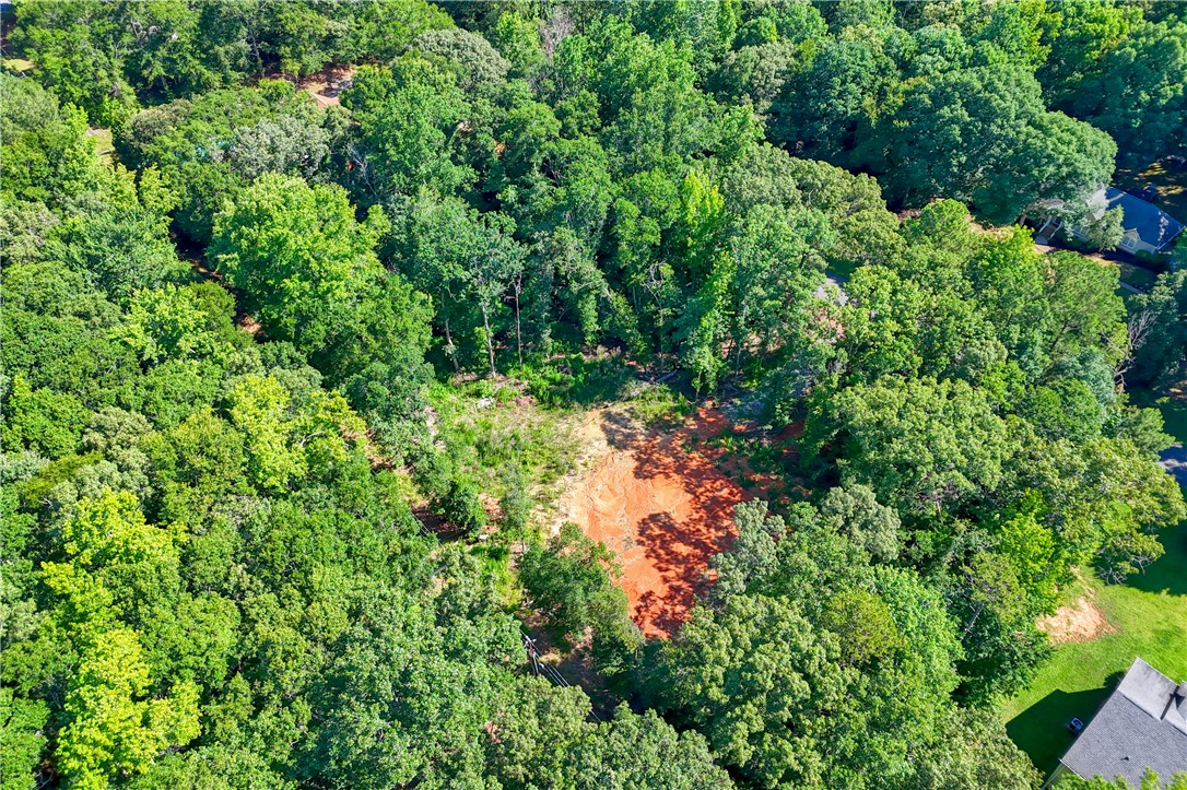 1020 Green Willow Trail Anderson, SC 29621 - Photo 24 of 28 Vast, verdant acreage offers a cleared build site amidst a canopy of mature trees.