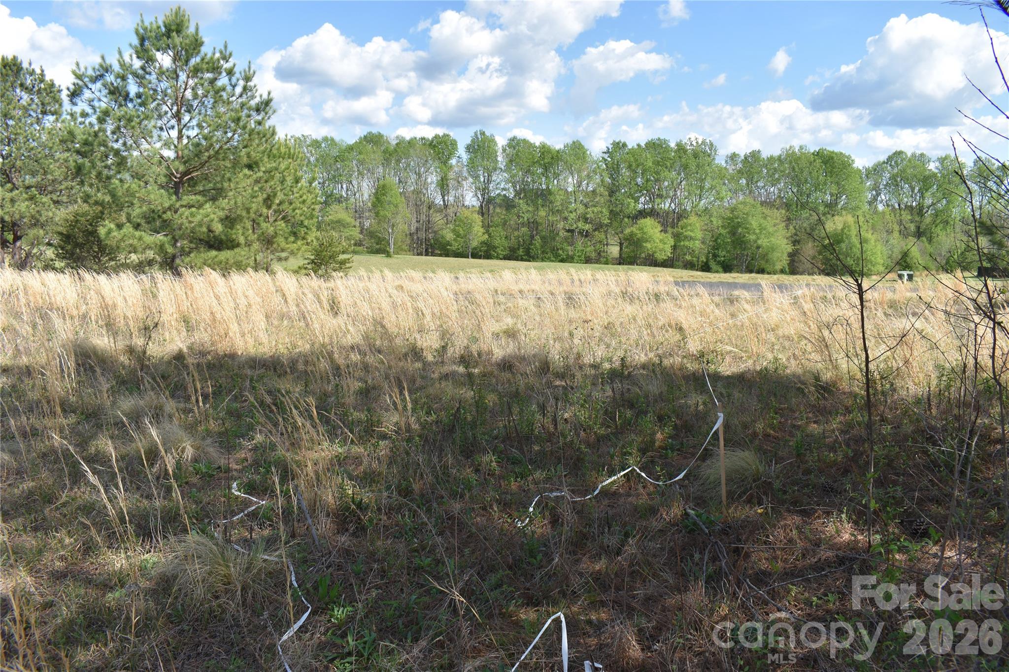 0 Malden Court Crouse, NC 28033 - Photo 18 of 29 a view of a forest that has a tree