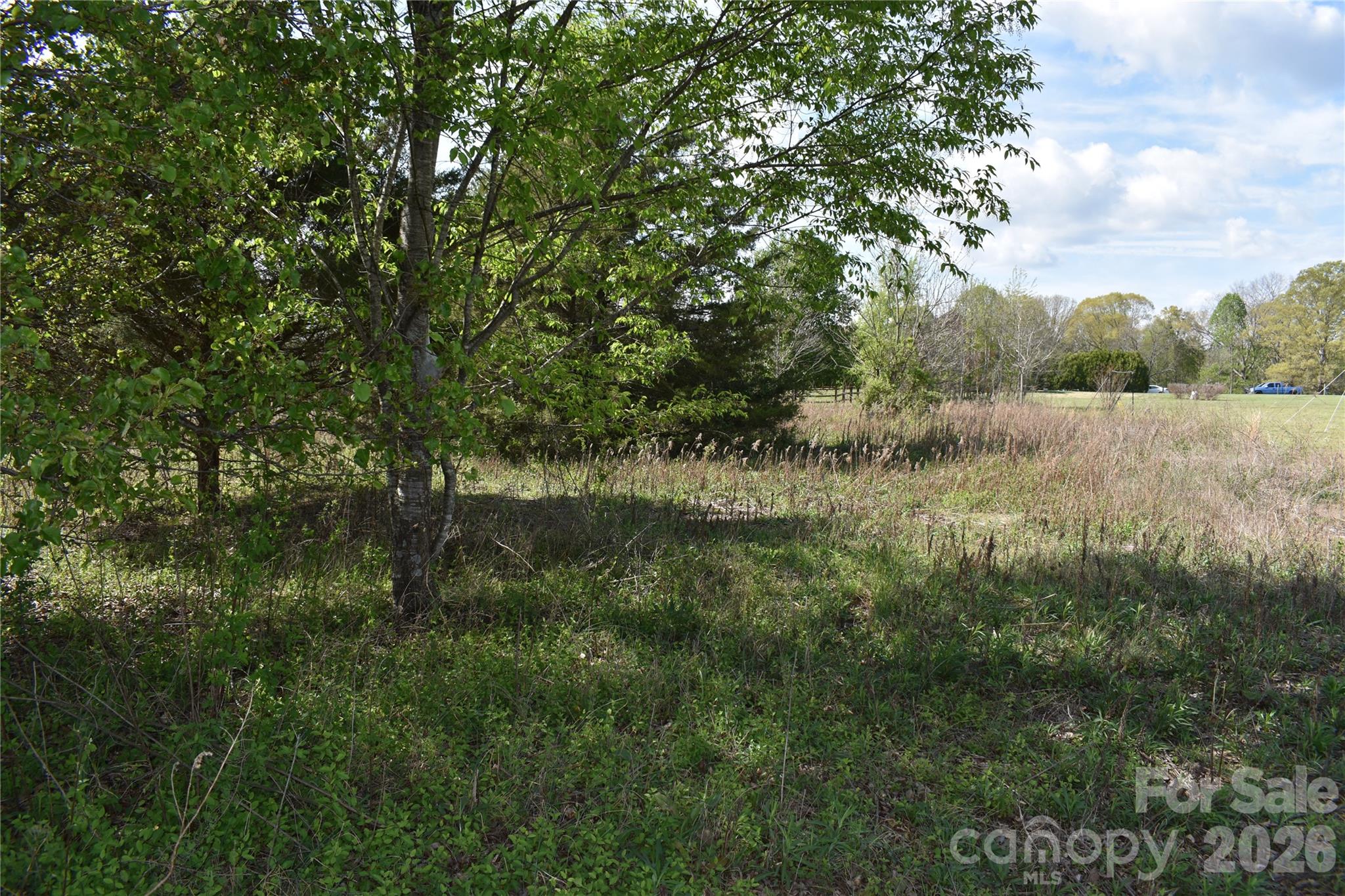 0 Malden Court Crouse, NC 28033 - Photo 20 of 29 a view of a lush green forest with lawn chairs