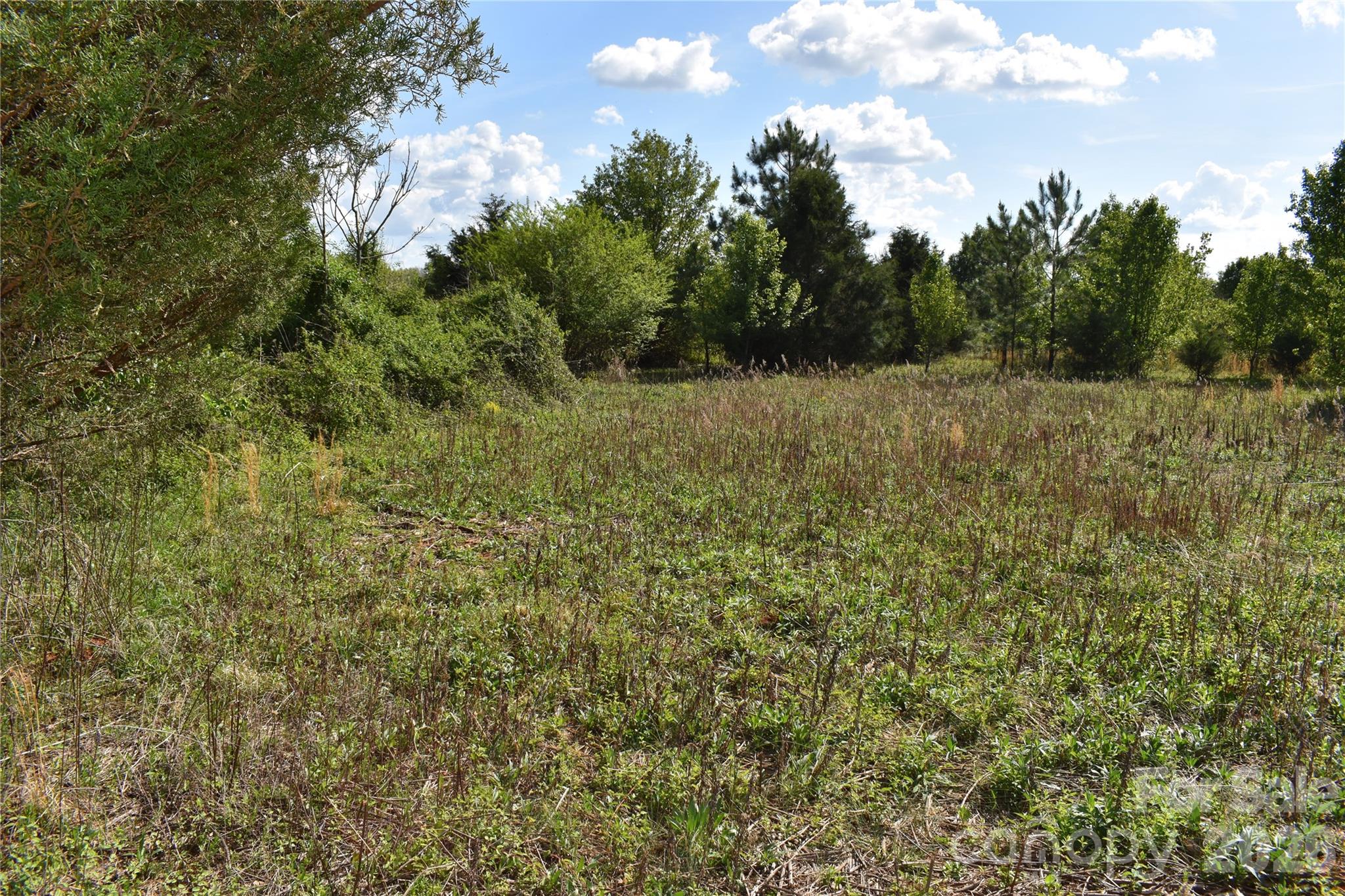0 Malden Court Crouse, NC 28033 - Photo 22 of 29 a view of a field of grass and trees