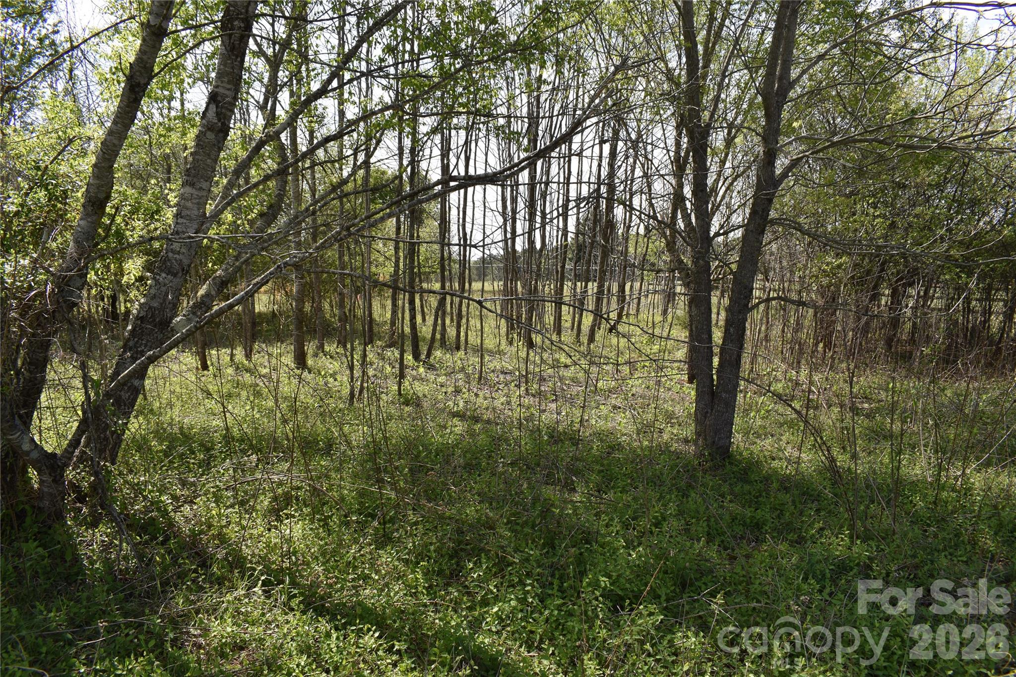 0 Malden Court Crouse, NC 28033 - Photo 25 of 29 a view of yard