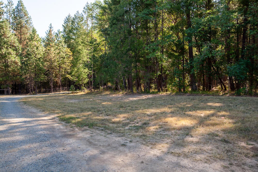 1400 Reeves Creek Road Selma, OR 97538 - Photo 18 of 19 1400 Reeves Creek (18 of 19)