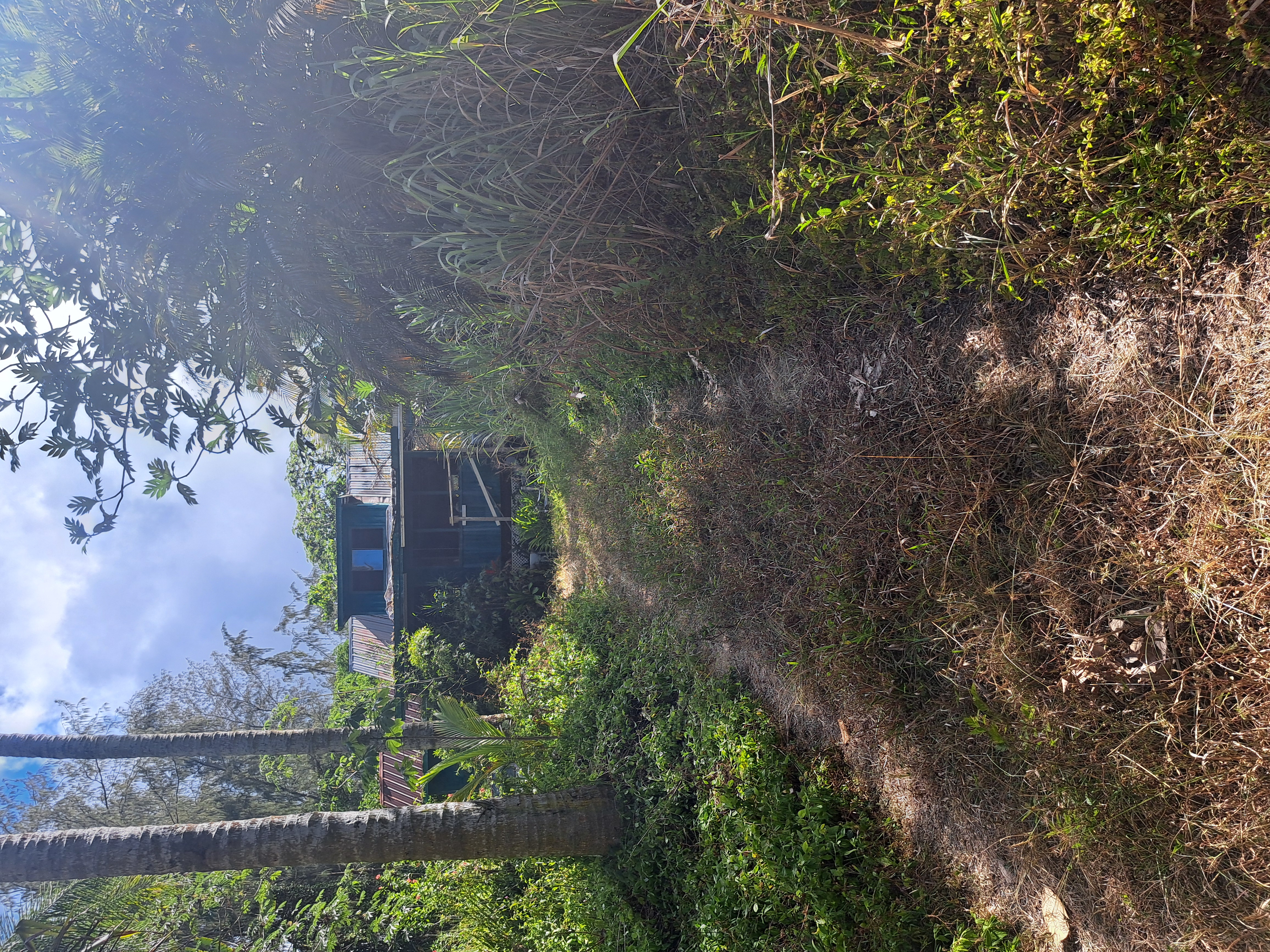 14-154 Pakaka Road Pahoa, HI 96778 - Photo 1 of 4 Gallery Image 1