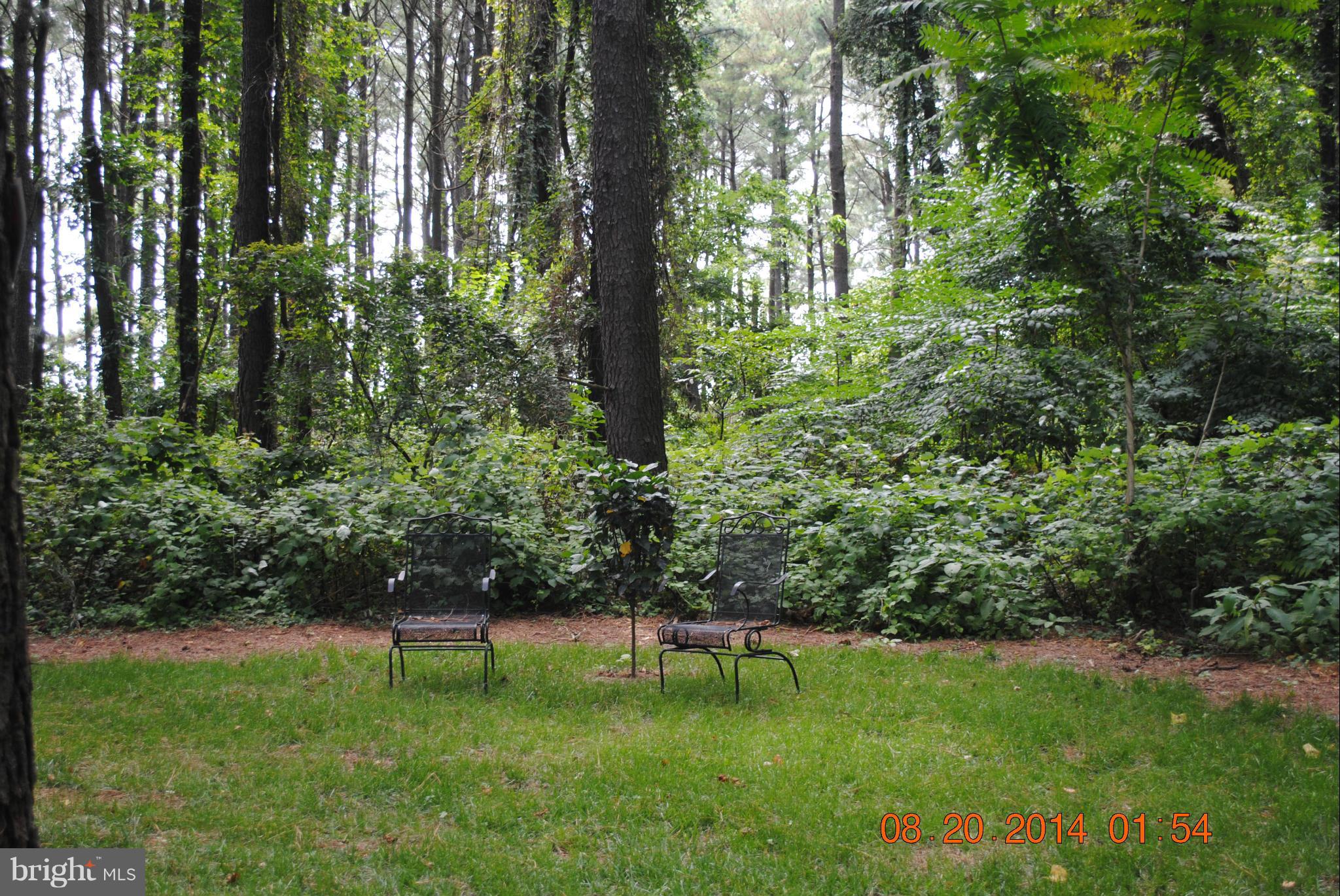 20839 Humphreys Point Road Rock Hall, MD 21661 - Photo 25 of 30 Peaceful setting on the edge of woods