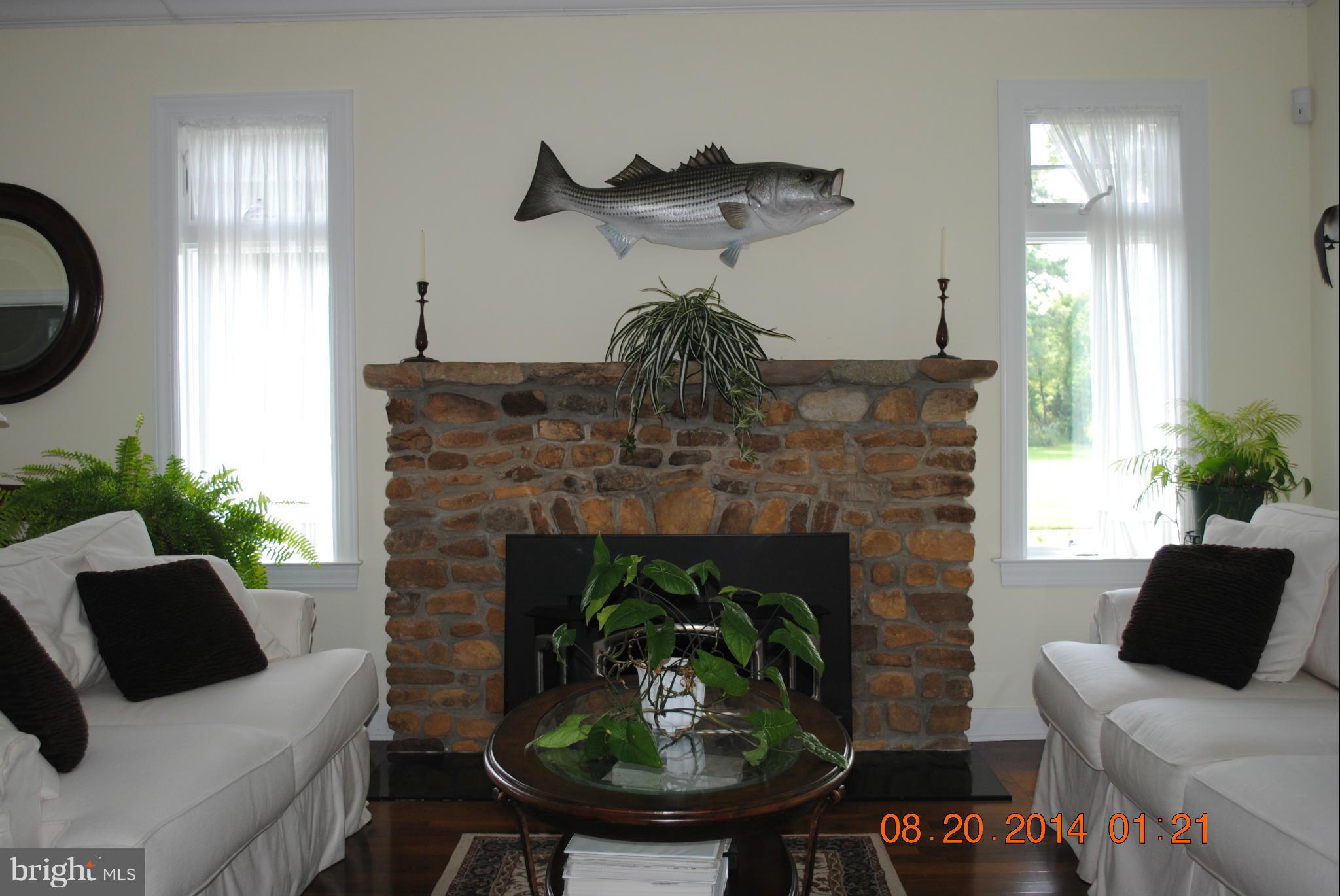 Fireplace in Living Room