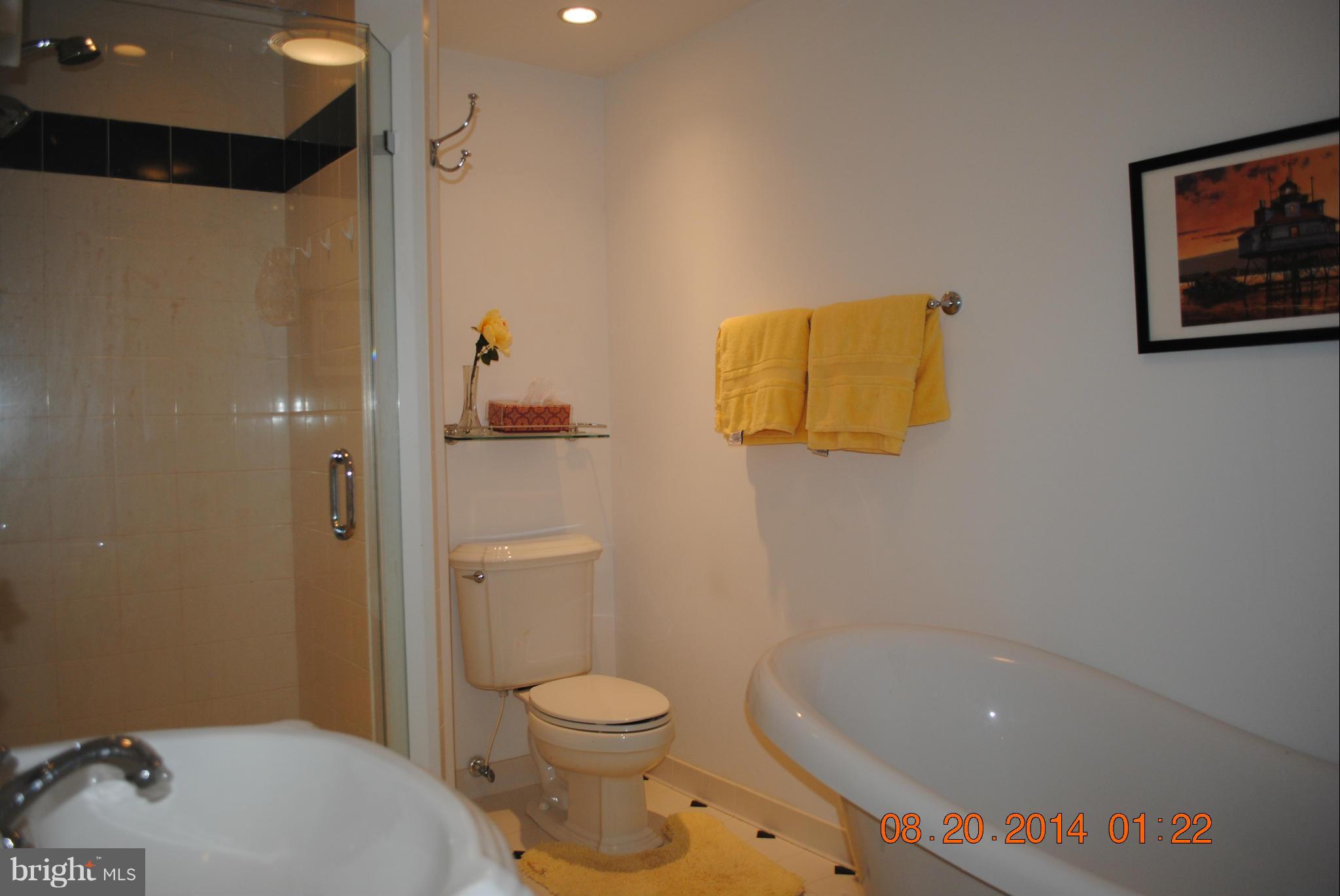20839 Humphreys Point Road Rock Hall, MD 21661 - Photo 9 of 30 Separate tub and shower in master bath