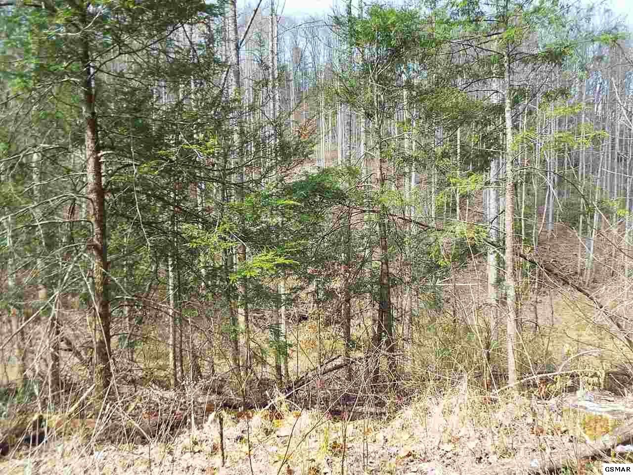 7903 Ground Hog Road Cosby, TN 37722 - Photo 29 of 35 Gallery Image 29
