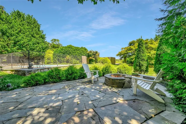 a view of a backyard with plants and a garden
