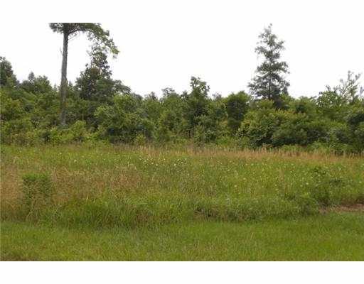 3920 Mt Carmel Road Florien, LA 71429 - Photo 12 of 14 Gallery Image 12