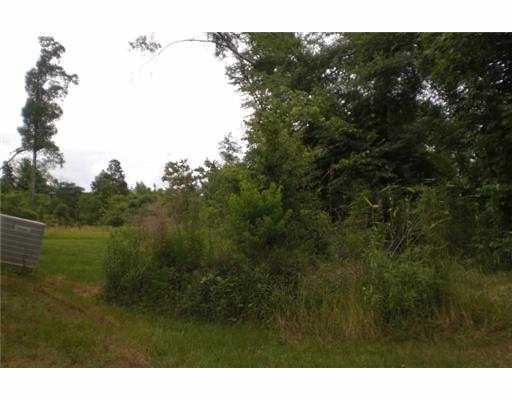 3920 Mt Carmel Road Florien, LA 71429 - Photo 13 of 14 Gallery Image 13