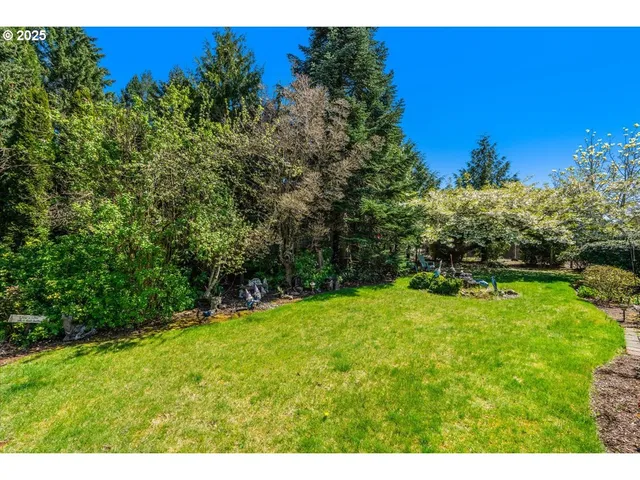 a view of a back yard