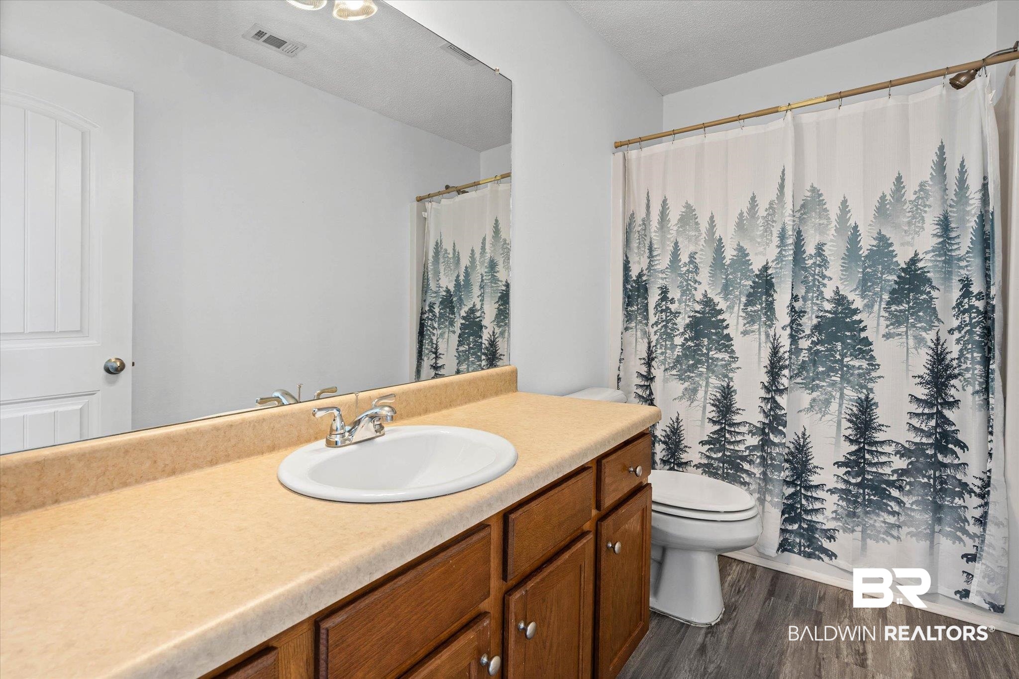 8980 Spring Grove North Mobile, AL 36695 - Photo 10 of 24 Bathroom featuring a single vanity with laminate countertop, wood-finish cabinetry, and an integrated sink with chrome faucet