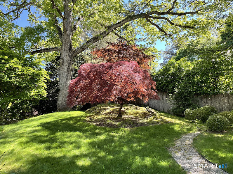 9 Tory Hole Road Darien, CT 06820 - Photo 5 of 33 a backyard of a house with lots of green space