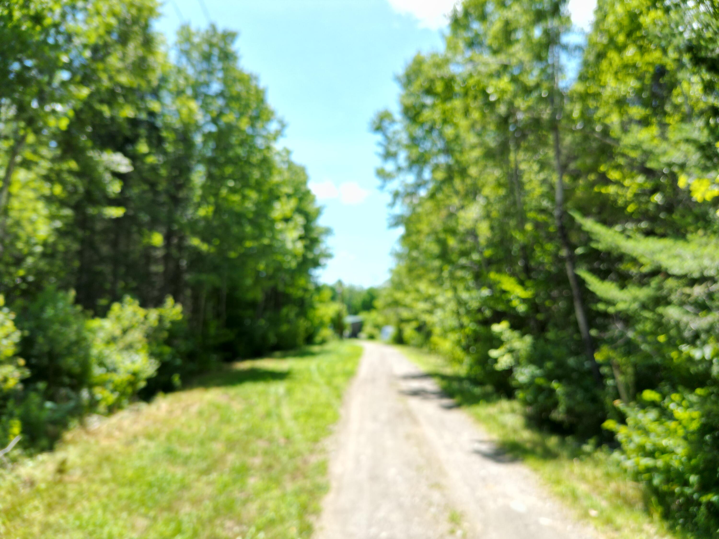 975 Tar Ridge Road Springfield, ME 04487 - Photo 33 of 35 DJI_0087